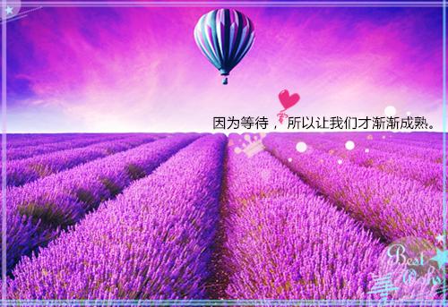 他在永夜长眠林若浅：免费+结局（苏娆时砚清林若浅）最新章节_他在永夜长眠林若浅：免费+结局全文阅读