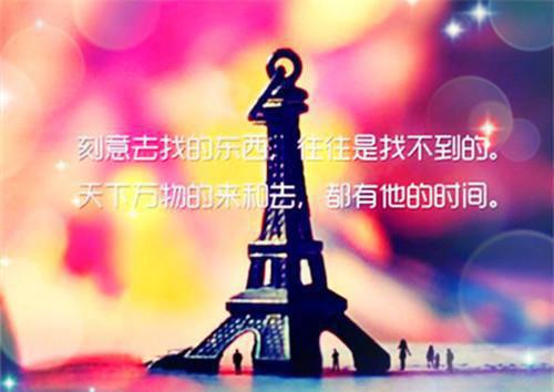(番外)+(全文)第101次抢婚：精选作品+番外第101次抢婚：精选作品免费阅读无弹窗大结局_第101次抢婚：精选作品结局+番外最新章节列表_笔趣阁第101次抢婚：精选作品
