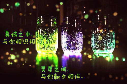 完结文反亏为赢：系统带我做赌王实力派最新章节列表_完结文反亏为赢：系统带我做赌王实力派全文免费阅读（都有牛,真有,花牛）