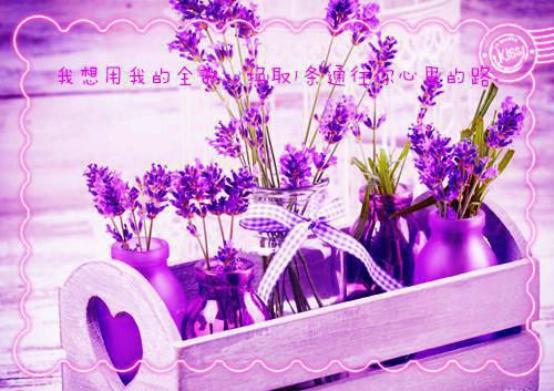 电子书下载（迟渺霍砚洲）蝴蝶与潜水钟：结局+番外全面完结隐藏篇章+续集