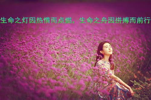 (番外)+(全文)爱在霜雪消融前：书荒全文下载阅读_(阮荷夜无烬)爱在霜雪消融前：书荒全文最新章节列表_笔趣阁（阮荷夜无烬）