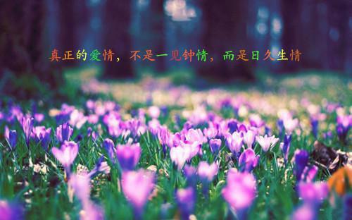 大雁南飞人不归姜曼殊沈砚之乔昭宁文宝藏最新推荐_最新章节阅读大雁南飞人不归姜曼殊沈砚之乔昭宁文宝藏