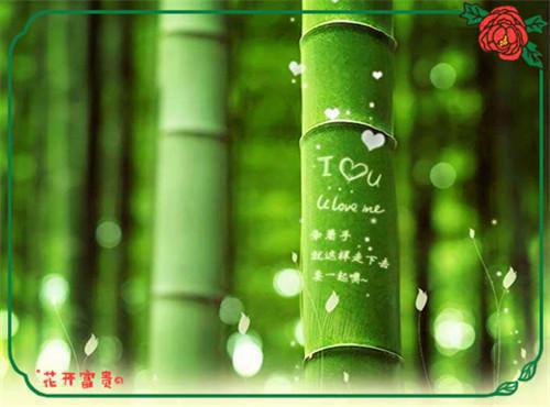 人面桃花长相忆：节选高光片段速递‌爱恨纠葛（阮雾梨闻砚辞）最新章节_人面桃花长相忆：节选高光片段速递‌爱恨纠葛全文阅读