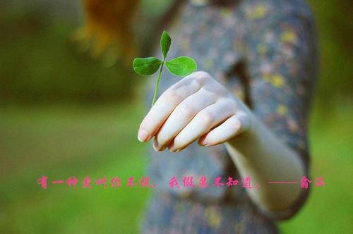 全家都骂我是败家子精选（瑶瑶）最新章节_全家都骂我是败家子精选全文阅读