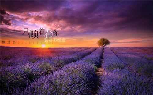 全本心机宫女一滴泪，惹得皇帝送凤位：好文分享（榕宁萧泽）最新章节列表_全本心机宫女一滴泪，惹得皇帝送凤位：好文分享全文阅读