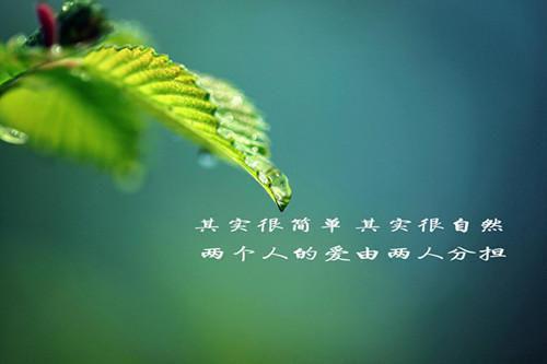 开局降龙十八掌，都市仙门我传承「精彩小说」顾辞李凡免费阅读