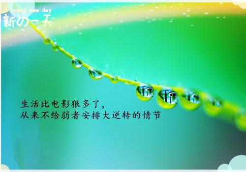 最新章节谁与你白头成眷：++番外（沈意欢陆沉舟）_谁与你白头成眷：++番外沈意欢陆沉舟最新章节