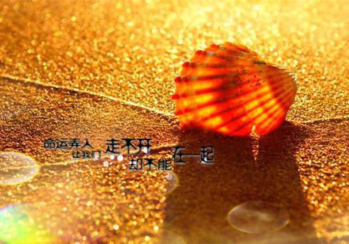 我装失忆后，女友说她闺蜜是我全文小说许慎,谢彤,向颜悦小说在线阅读