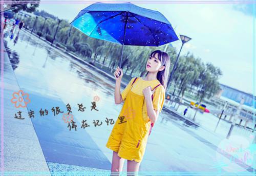 全文小说宫墙深深目录免费阅读
