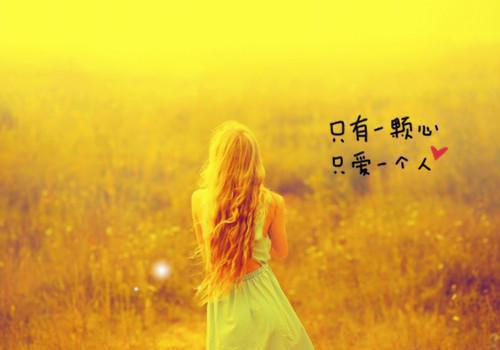 认错双胞胎后我成了他嫂子（沈知秋顾少珩）最新推荐_最新推荐认错双胞胎后我成了他嫂子（沈知秋顾少珩）