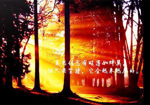四合院：秦淮茹退婚后，我机缘不断全文阅读（秦康秦淮茹）最新章节_四合院：秦淮茹退婚后，我机缘不断全文阅读