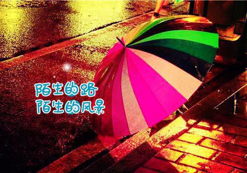悔婚当日，清冷权臣求我别始乱终弃：结局+番外+后续高分佳作（宗肆宁芙）已完结，悔婚当日，清冷权臣求我别始乱终弃：结局+番外+后续高分佳作已完结