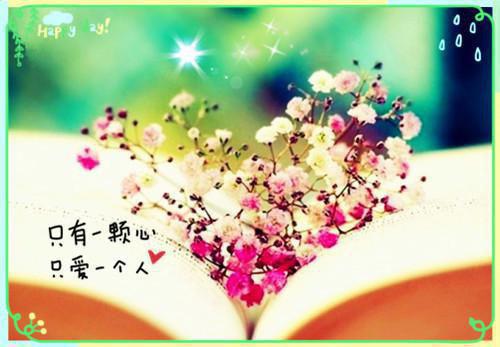 容月皎皎辞旧梦全文阅读（苏容月裴念之）最新章节_容月皎皎辞旧梦全文阅读
