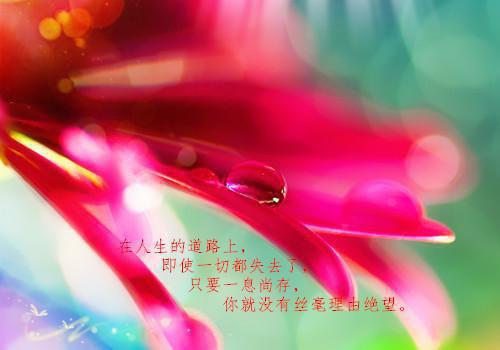 蠢哥哥揭皇榜我女扮男装救全族：（姜照雪萧珩）最新章节_蠢哥哥揭皇榜我女扮男装救全族：全文阅读