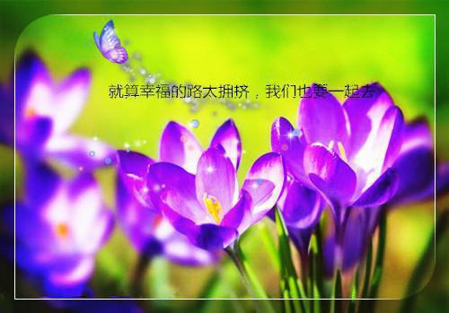 最新章节阮雾梨闻砚辞：+后续+_阮雾梨闻砚辞：+后续+已完结