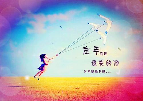 南语沈聿珩乔清意：全篇已完结_南语沈聿珩乔清意：全篇最新章节