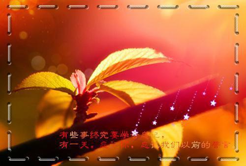 官场护身符（苏铭张欣茹）全文浏览_官场护身符全文浏览
