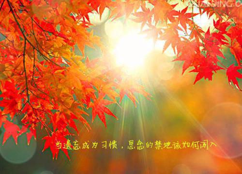 花都游龙畅读（叶萧韩玥）全文浏览_花都游龙畅读全文浏览