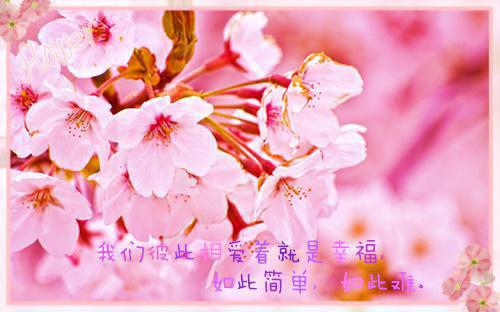 南山有艳阳，坠在北海碑：结局+番外每日分享全文阅读（程苒程絮絮）最新章节_南山有艳阳，坠在北海碑：结局+番外每日分享全文阅读