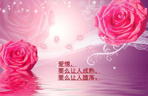 玄学哭包眼一红，豪门集体破大防阮星顾辰推荐完本_已完结玄学哭包眼一红，豪门集体破大防（阮星顾辰）