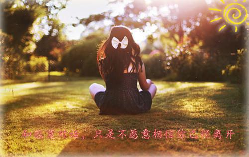 重生八零，带崽离婚后转身再高嫁高分完本（傅云瑶沈知远）最新章节_重生八零，带崽离婚后转身再高嫁高分完本全文阅读