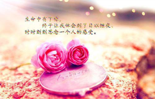婚礼现场，亲生父母开着直播找上门小妤周明轩推荐完本_已完结婚礼现场，亲生父母开着直播找上门（小妤周明轩）