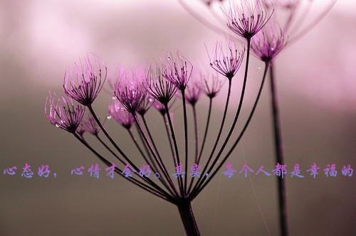颜姝季知珩：,颜姝季知珩精彩剧情（颜姝季知珩）最终终章全书在线下载阅读无干扰