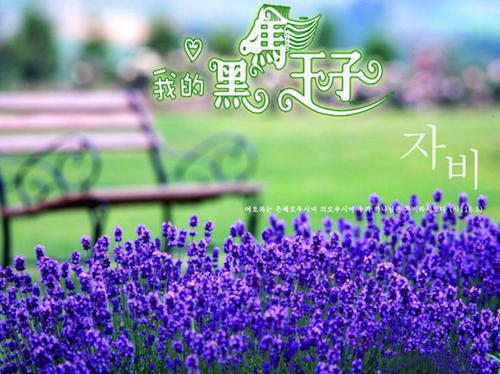 全文浏览点天灯后，丈夫公开拍卖我的私房照：后续（顾泽辰）_点天灯后，丈夫公开拍卖我的私房照：后续（顾泽辰）全文结局