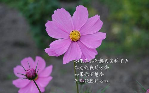 苏娆时砚清：+结局结局+番外(苏娆时砚清)全文苏娆时砚清读无弹窗结局_苏娆时砚清读结局章节列表_笔趣阁（苏娆时砚清：+结局结局+番外）