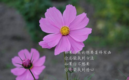 寂灭狂刀陈枫姬云母一口气看完_书荒时期必读情感力作陈枫姬云母《寂灭狂刀》