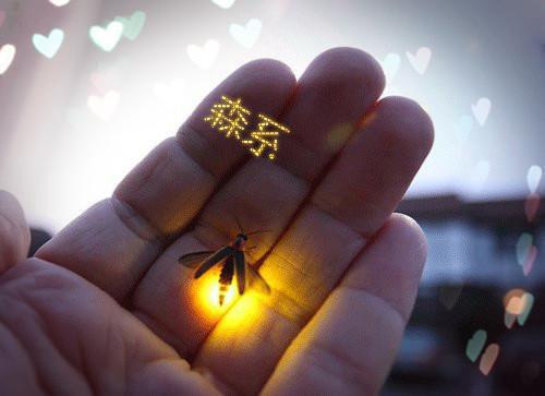 你抓不到我变成的风（许烟路池杉）全文免费_（许烟路池杉）你抓不到我变成的风后续阅读（许烟路池杉）