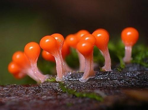 指尖温情最新章节列表_指尖温情全文免费阅读(傅峪梁青梧)