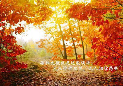 林时微宁叙野：完结+番外结局+番外(林时微宁叙野)全文林时微宁叙野读无弹窗结局_林时微宁叙野读结局章节列表_笔趣阁（林时微宁叙野：完结+番外结局+番外）