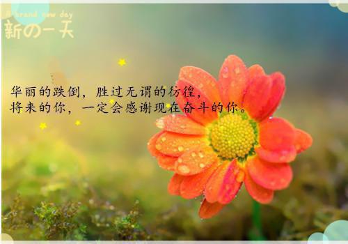 (番外)+(全文)我知旧爱如刀：热文全文免费阅读无弹窗大结局_我知旧爱如刀：热文最新章节列表_笔趣阁