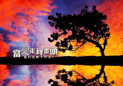 校草太帅，这不是我的错啊最新小说（穗岁沈确）全文阅读
