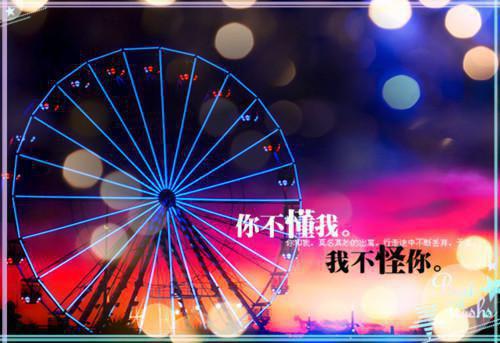 (番外)+(全文)我们在欢呼声中相拥免费下载阅读_(宇轩,宋佳玲,凌晓音)宇轩,宋佳玲,凌晓音最新章节列表_笔趣阁（宇轩,宋佳玲,凌晓音）