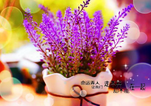 穿书女配被反派一家团宠了小说最新章节_穿书女配被反派一家团宠了免费阅读