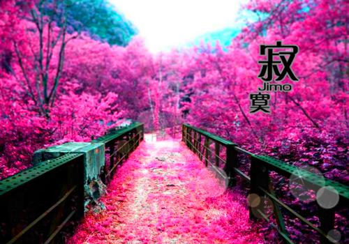 婆婆的再三坚持，终于害的老公失去一条腿全文阅读（陈沐阳韩潇潇）最新章节_婆婆的再三坚持，终于害的老公失去一条腿全文阅读