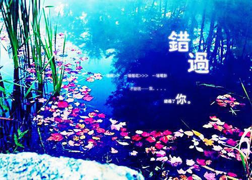 妹妹是圣母林妙妙青青完结版全章节阅读