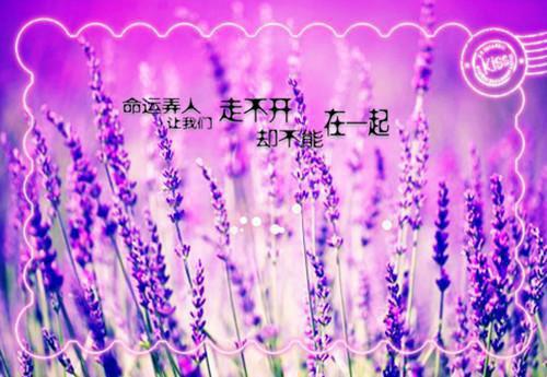 (番外)+(全文)我抱金枝过青山全文免费阅读无弹窗大结局_我抱金枝过青山最新章节列表_笔趣阁
