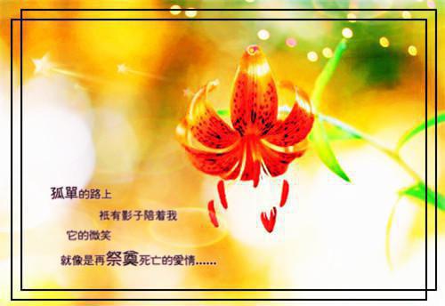 十年心囚困旧爱：免费+后续全文阅读（周晚宁沈逾白）最新章节_十年心囚困旧爱：免费+后续全文阅读