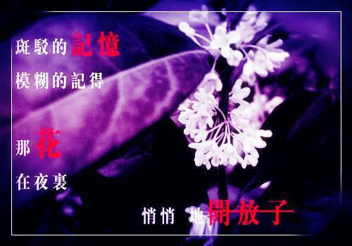 大汉：我跟着邦子混个封侯（萧郗刘邦）全文免费_（萧郗刘邦）大汉：我跟着邦子混个封侯后续阅读（萧郗刘邦）