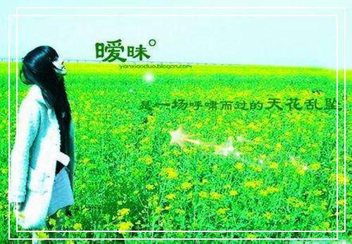 无广告阅读（许梨疏霍子枭）西风暮雪埋初心：小说免费隐藏篇章+续集