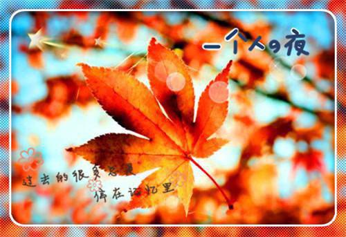 山遥路茫茫：完整版在线阅读结局+番外(鹿青宁商彧叶施)全文鹿青宁商彧叶施读无弹窗结局_鹿青宁商彧叶施读结局章节列表_笔趣阁（山遥路茫茫：完整版在线阅读结局+番外）