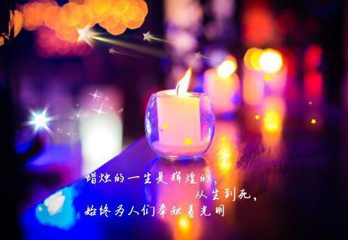 爱恨皆虚妄：无弹窗阅读傅宴安霍青夏一口气看完_书荒时期必读情感力作傅宴安霍青夏《爱恨皆虚妄：无弹窗阅读》