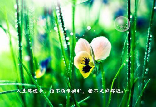 你是我难愈的旧伤高分完本全文阅读（傅深铭夏晚星）最新章节_你是我难愈的旧伤高分完本全文阅读