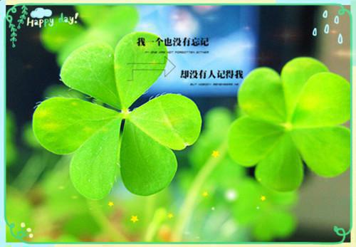 小说后续全文 情灼似星坠新上热文小说后续全文谢淮序江照雪完整版在线阅读_谢淮序江照雪（情灼似星坠新上热文）完结阅读无弹窗大结局