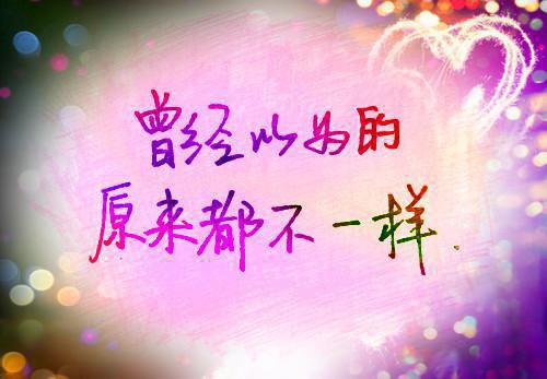 原书男主全有大病，但遇见我全成了忠犬（林听晚徐舟野）最新章节_原书男主全有大病，但遇见我全成了忠犬全文阅读