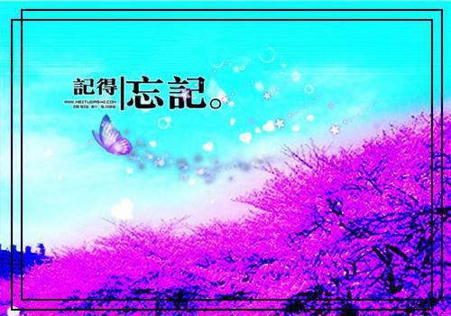 叶叶声声是别离：全文无弹窗施宁谢闻砚一口气看完_书荒时期必读情感力作施宁谢闻砚《叶叶声声是别离：全文无弹窗》