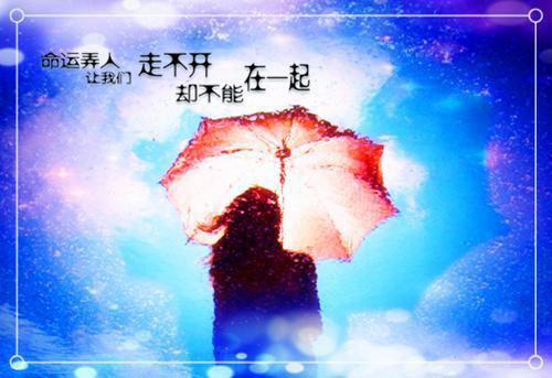 京婚娇宠：是小尼姑也是嫡公主（姜以安周瑾臣）最新推荐_最新推荐京婚娇宠：是小尼姑也是嫡公主（姜以安周瑾臣）